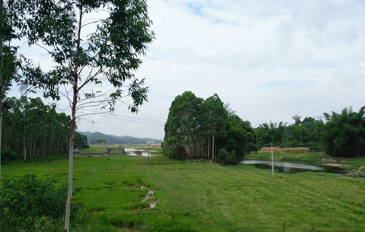 廣西某市東灣、西灣海域海水水質(zhì)超標(biāo)調(diào)查評(píng)估